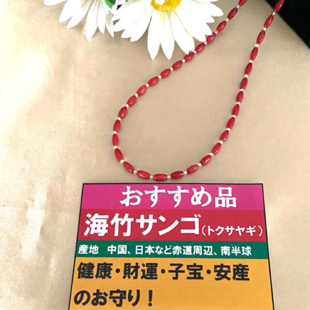 海竹サンゴ　ロングネックレス ハンドメイドのアクセサリー(ネックレス)の商品写真