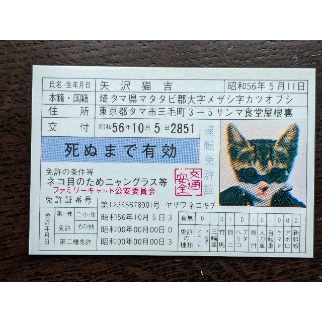 なめ猫 矢沢猫吉 ① なめんなよ なめるなよ 運転免許証 1981 なめ猫 矢沢猫吉 ① なめんなよ なめるなよ 運転免許証 1981