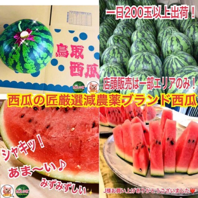 第一ネット すいか様専用です☆彡 ClKXBmbSBf - fonotecanacional.gob.mx