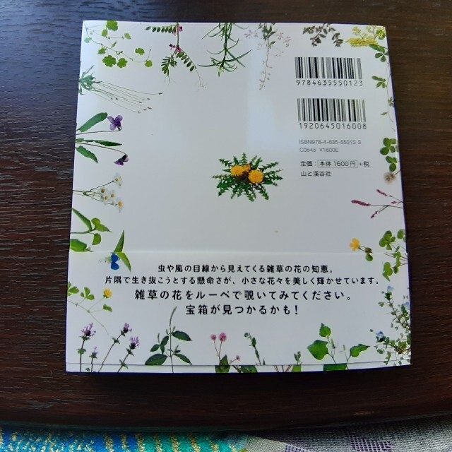 新品「美しき小さな雑草の花図鑑」「もっと美しき小さな雑草の花図鑑」多田多恵子 エンタメ/ホビーの本(趣味/スポーツ/実用)の商品写真