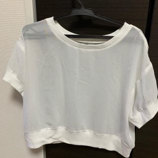 エモダ(EMODA)のEMODA シースルーカットソー(カットソー(半袖/袖なし))