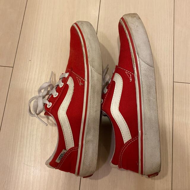 VANS(ヴァンズ)の【VANS】スニーカー レディースの靴/シューズ(スニーカー)の商品写真