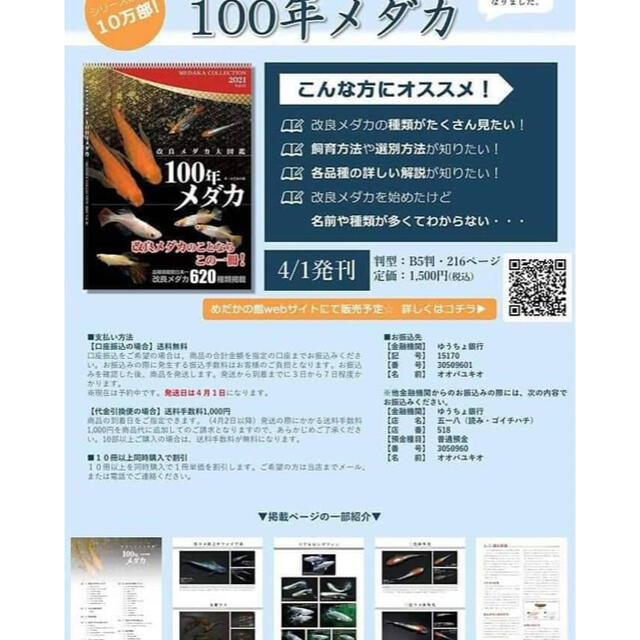 改良メダカ大図鑑　100年メダカ　めだか　本 エンタメ/ホビーの本(趣味/スポーツ/実用)の商品写真