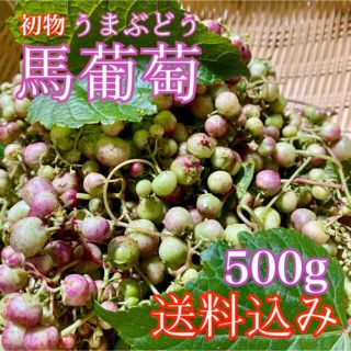 馬葡萄 ブスの実 野葡萄 うまぶどう 薬膳酒作りに の