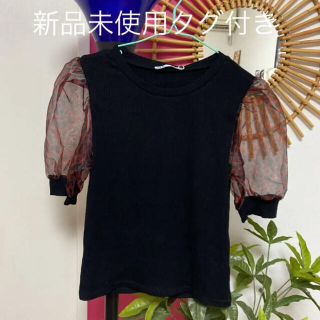 ZARA(ザラ)のZARA トップス レディースのトップス(Tシャツ(半袖/袖なし))の商品写真