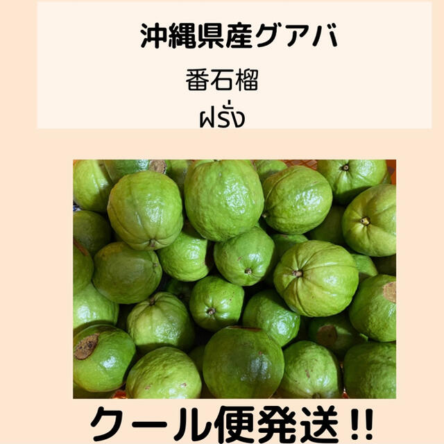 ⚠️限定⚠️沖縄県産グァバ白1kg クール便発送 食品/飲料/酒の食品(フルーツ)の商品写真