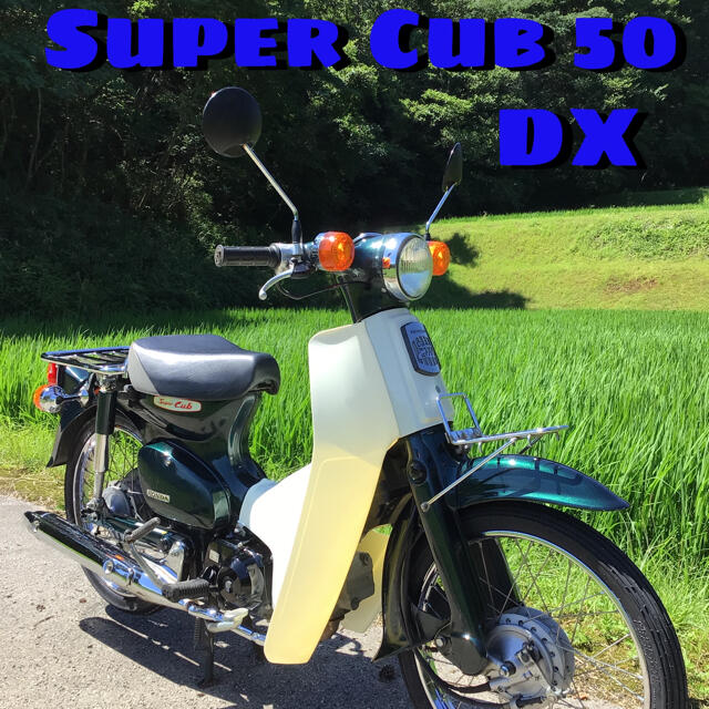 HONDA ホンダ スーパーカブ50 DX 整備済 良質車 | www.innoveering.net
