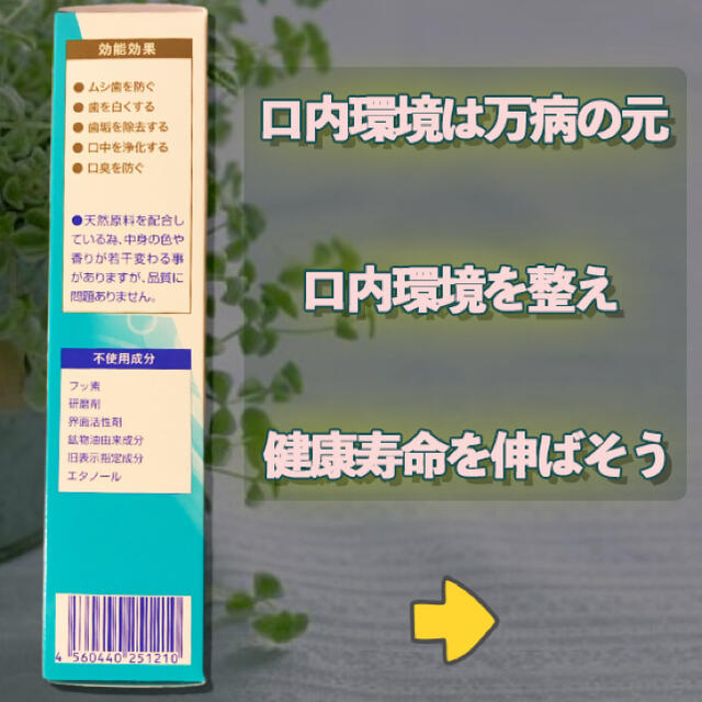 歯磨き剤 Biopaste-バイオペースト- 60g 【P-UP波/テラヘルツ】 コスメ/美容のオーラルケア(歯磨き粉)の商品写真