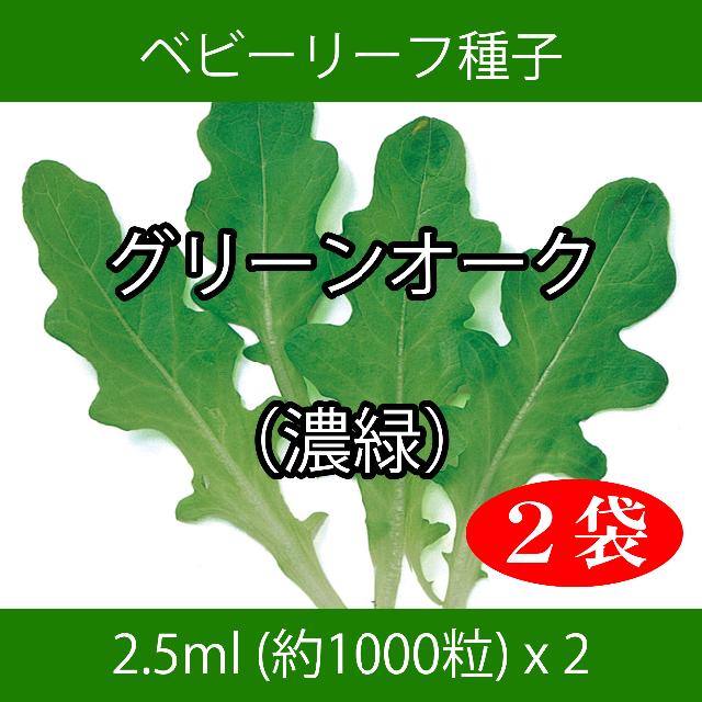 ベビーリーフ種子 B-47 グリーンオーク（濃緑） 2.5ml x 2袋 食品/飲料/酒の食品(野菜)の商品写真