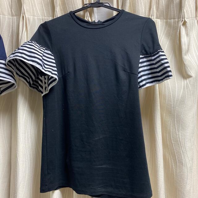 BARNEYS NEW YORK(バーニーズニューヨーク)のボーダーズアットバルコニー💕 レディースのトップス(Tシャツ(半袖/袖なし))の商品写真