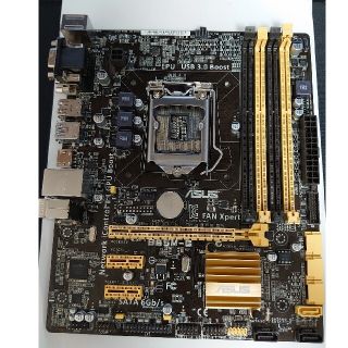 エイスース(ASUS)のASUS B85M-G(PCパーツ)