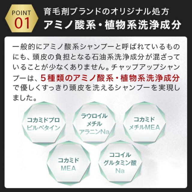 スカルプシャンプー　チャップアップシャンプー　薄毛対策　頭皮ケア　育毛発毛