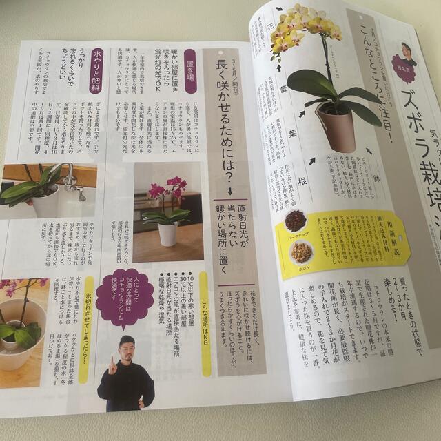 NHK 趣味の園芸 2021年 03月号 エンタメ/ホビーの雑誌(専門誌)の商品写真