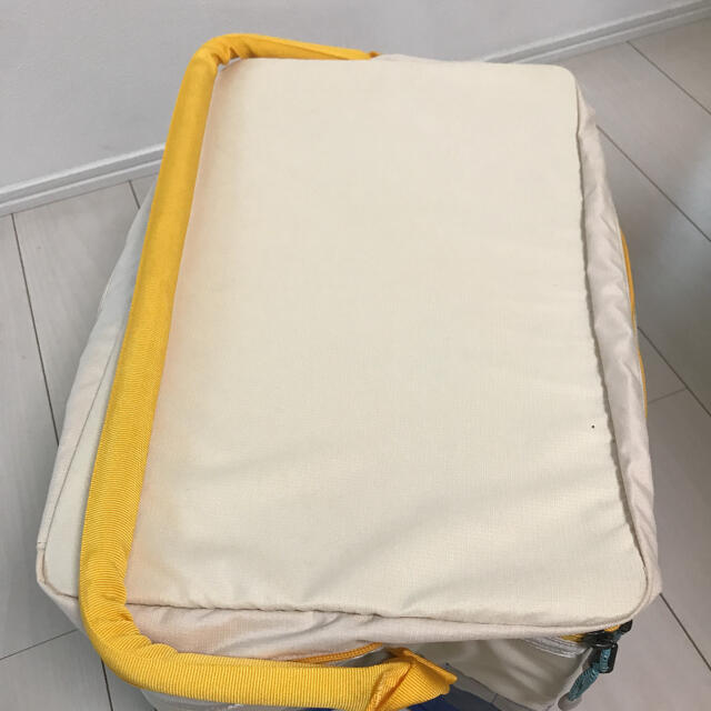 公式ショップ】 定価¥20,900 ALITE FIESTA COOLER クーラー バッグ