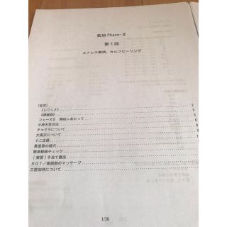 【みつ様専用】清水義久先生　気功継続プログラムⅡ テキスト資料(趣味/実用)