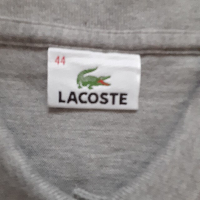 LACOSTE(ラコステ)のLACOSTE　ポロシャツ　値下げ‼️ レディースのトップス(ポロシャツ)の商品写真