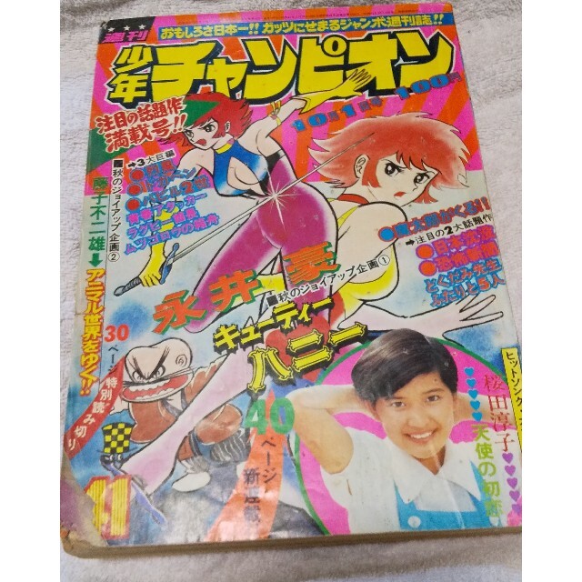 秋田書店(アキタショテン)の週刊少年チャンピオン1973年10月1日号 41号 【アニマル世界をゆく】 エンタメ/ホビーの漫画(漫画雑誌)の商品写真