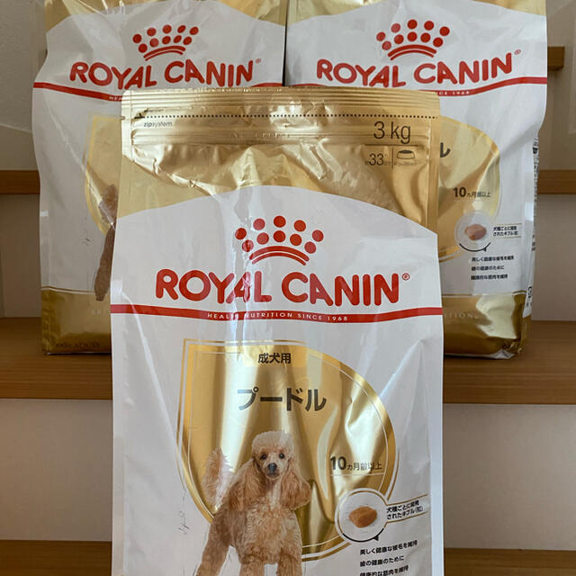 ROYAL CANIN(ロイヤルカナン)のロイヤルカナン　トイプードル成犬用3kg×3 その他のペット用品(ペットフード)の商品写真