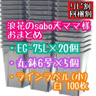 浪花のsabo天ママ様 おまとめ(プランター)