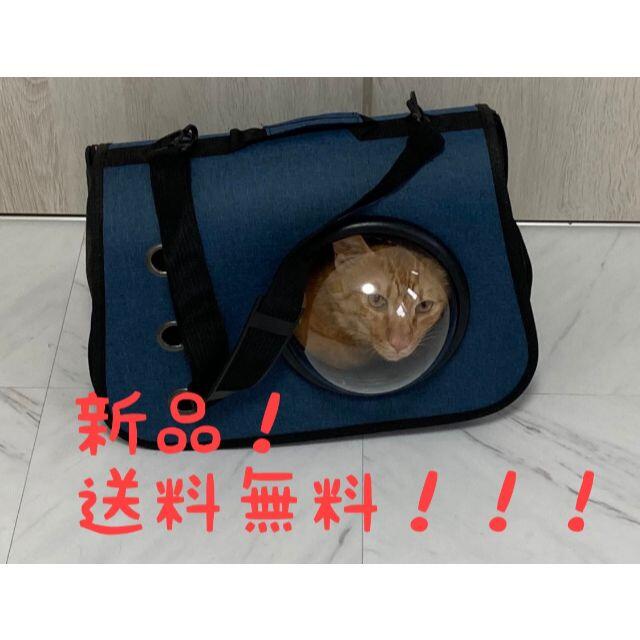 【新品】猫　犬　キャリーバック　バック　カバン　病院　オールシーズン その他のペット用品(猫)の商品写真