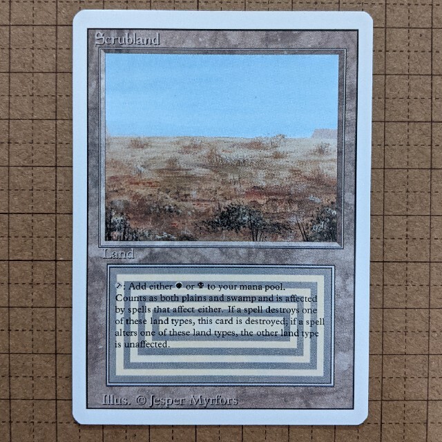 夏期間限定☆メーカー価格より68%OFF!☆ Scrubland 1枚 | www