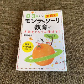 ０～３歳までの実践版モンテッソーリ教育で才能をぐんぐん伸ばす！ 写真とイラストで(結婚/出産/子育て)