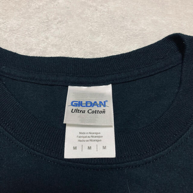 GILDAN(ギルタン)のWANIMA PIZZA OF DEATH プリント ラスタカラー Tシャツ M メンズのトップス(Tシャツ/カットソー(半袖/袖なし))の商品写真