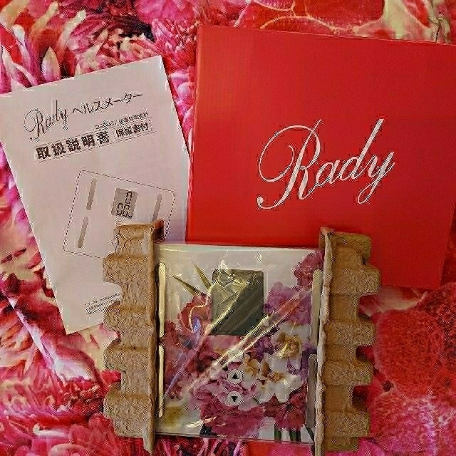 Rady(レディー)のRady 体重計 エンタメ/ホビーのコレクション(ノベルティグッズ)の商品写真