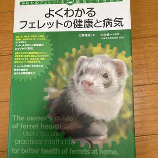 【希少！】よくわかるフェレットの健康と病気 あなたのフェレットを病気にさせない