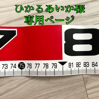 ダイワ(DAIWA)のひかるあいか様専用　フィッシングメジャー　ダイワ(その他)