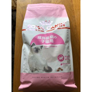 ロイヤルカナン(ROYAL CANIN)のロイヤルカナン 成長後期　子猫用  生後12ヶ月齢まで 2kg(ペットフード)