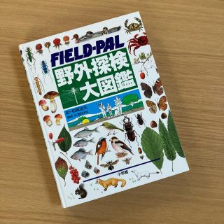 ショウガクカン(小学館)のxyz1011様　野外探検大図鑑　FIELD-PALと、パリジェンヌの作り方(趣味/スポーツ/実用)