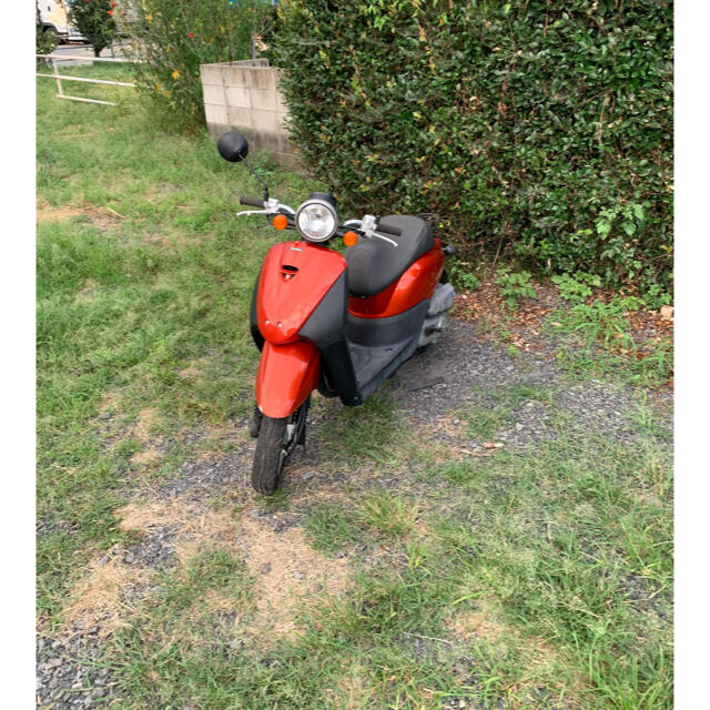 ホンダ トゥデイ AF67 FI 原付 バイクの通販 by cycle auto|ラクマ