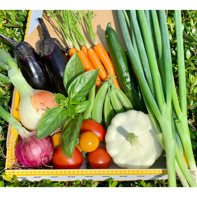 畑直送　無農薬新鮮野菜 食品/飲料/酒の食品(野菜)の商品写真