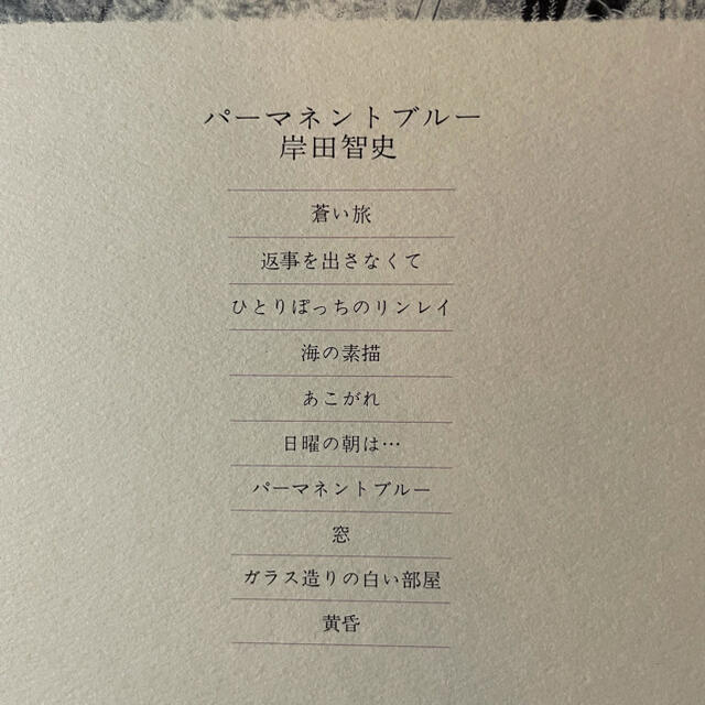 岸田 智史／パーマネントブルー LPレコード盤 2枚目〜半額対象❗️の