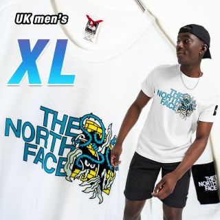 ザノースフェイス(THE NORTH FACE)の希少モデル◆ザ ノースフェイス　グラフィックＴシャツ　日本XL相当(Tシャツ/カットソー(半袖/袖なし))