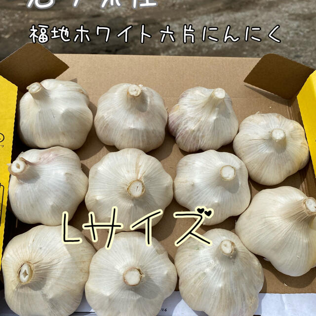 福地ホワイト六片　にんにく　ドランカー太郎様専用 食品/飲料/酒の食品(野菜)の商品写真