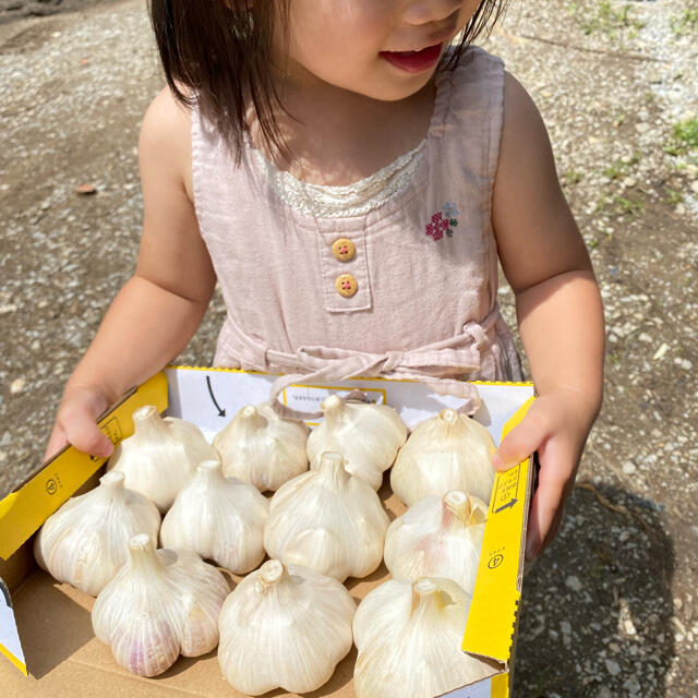 福地ホワイト六片　にんにく　ドランカー太郎様専用 食品/飲料/酒の食品(野菜)の商品写真