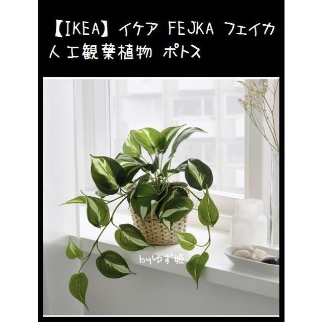 IKEA(イケア)の【IKEA】イケア FEJKA フェイカ 人工観葉植物 ポトス インテリア/住まい/日用品のインテリア小物(置物)の商品写真