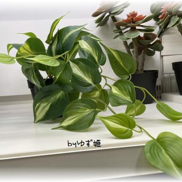 Ikea Ikea イケア Fejka フェイカ 人工観葉植物 ポトスの通販 By Moka S Shop イケアならラクマ