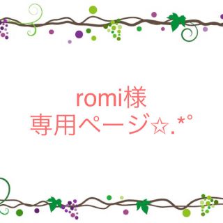 romi様専用ページ✩.*˚(各種パーツ)