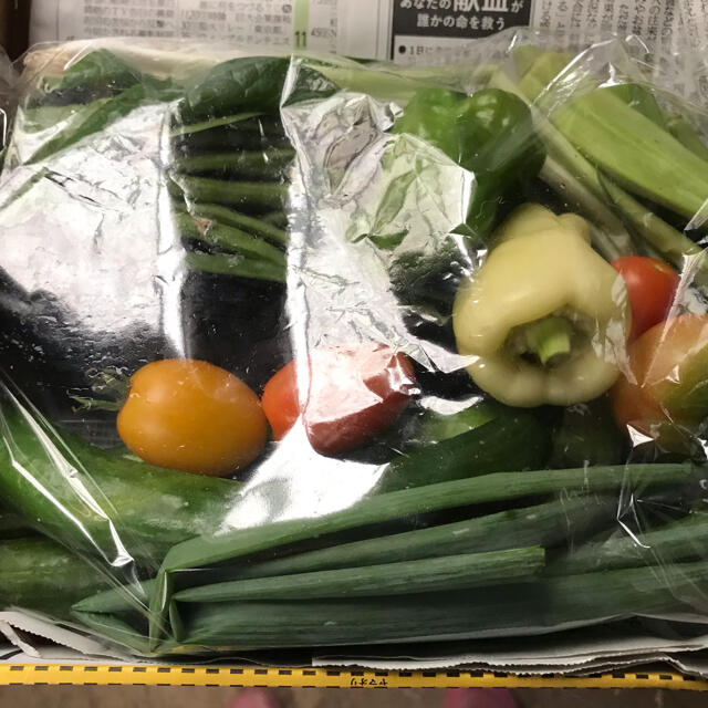 無農薬減農薬野菜セット 食品/飲料/酒の食品(野菜)の商品写真