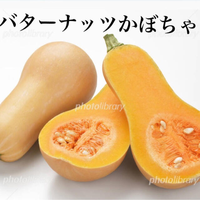 世界一甘いとうもろこしなど 貴重な夏野菜の10種類セット 食品/飲料/酒の食品(野菜)の商品写真