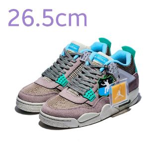 NIKE AIR JORDAN4 TAUPE HAZE 27㎝ travis