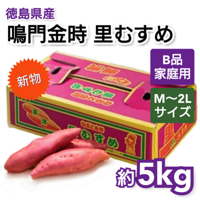 新さつまいも 徳島県産 鳴門金時 里むすめ 約5kg サイズおまかせ ご家庭用 食品/飲料/酒の食品(野菜)の商品写真