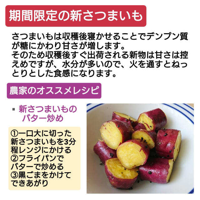 新さつまいも 徳島県産 鳴門金時 里むすめ 約5kg サイズおまかせ ご家庭用 食品/飲料/酒の食品(野菜)の商品写真