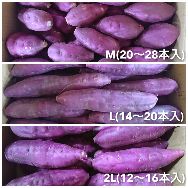 新さつまいも 徳島県産 鳴門金時 里むすめ 約5kg サイズおまかせ ご家庭用 食品/飲料/酒の食品(野菜)の商品写真