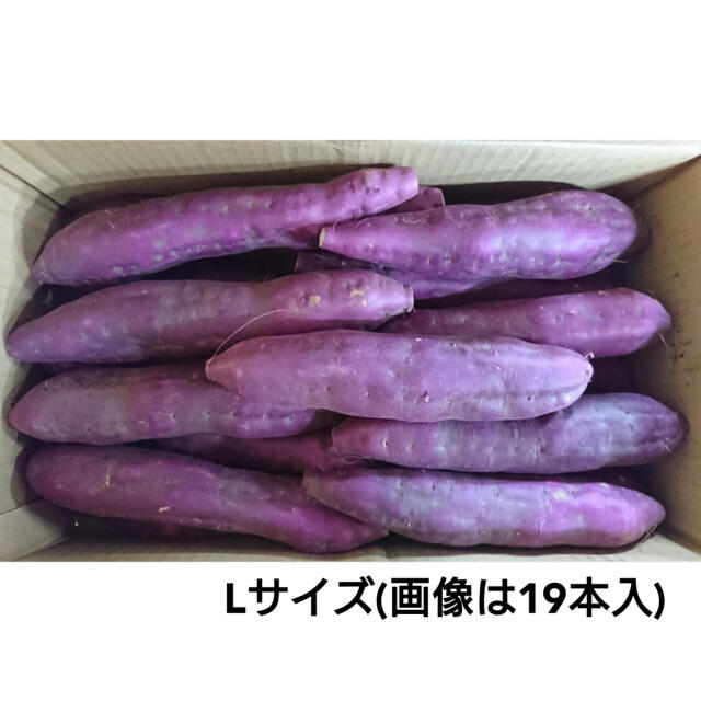 新さつまいも 徳島県産 鳴門金時 里むすめ 約5kg サイズおまかせ ご家庭用 食品/飲料/酒の食品(野菜)の商品写真