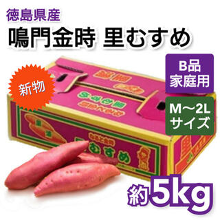 新さつまいも 徳島県産 鳴門金時 里むすめ 約5kg サイズおまかせ ご家庭用(野菜)