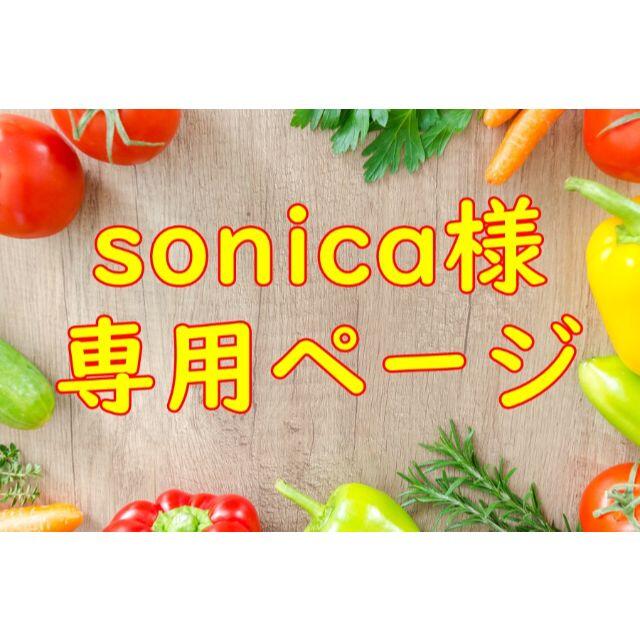 ★sonica様専用ページ 食品/飲料/酒の食品(野菜)の商品写真
